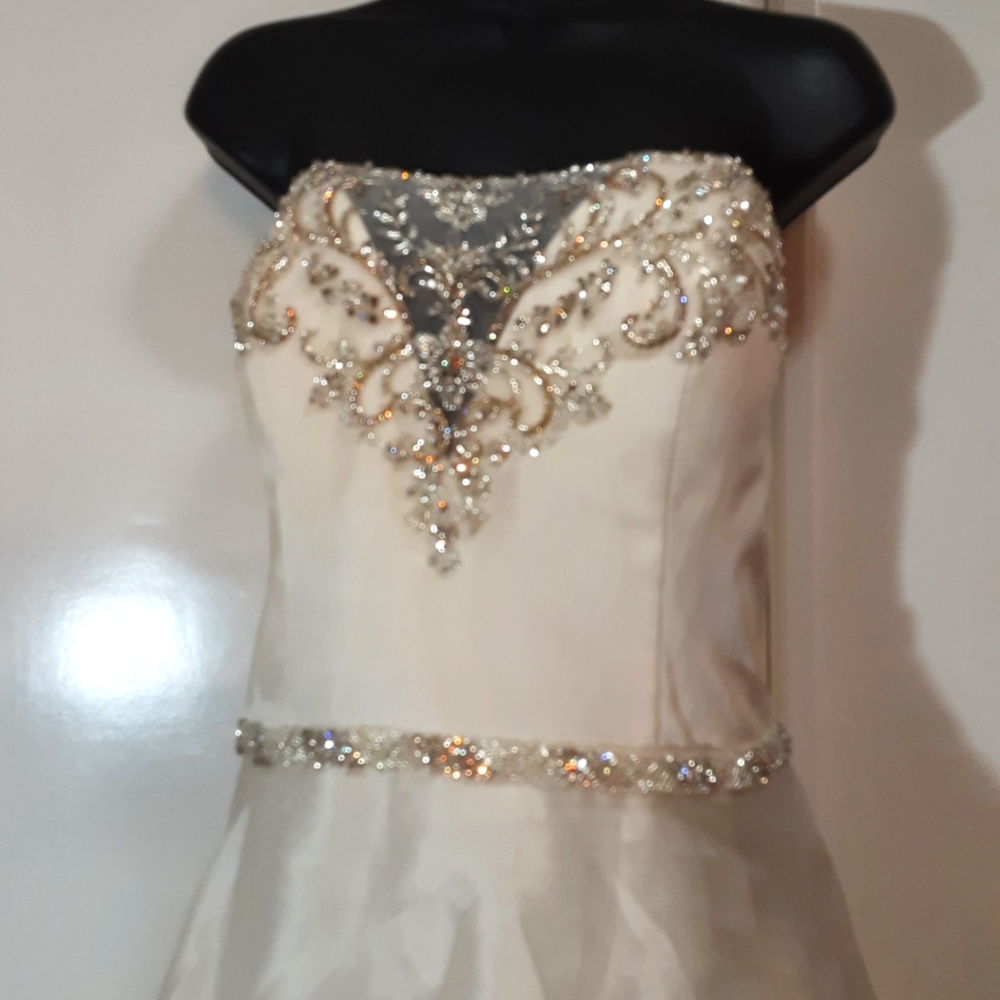 Amare Couture | Crystal Richard Celine Silk  Beaded Jewel Accented Bridal Gown